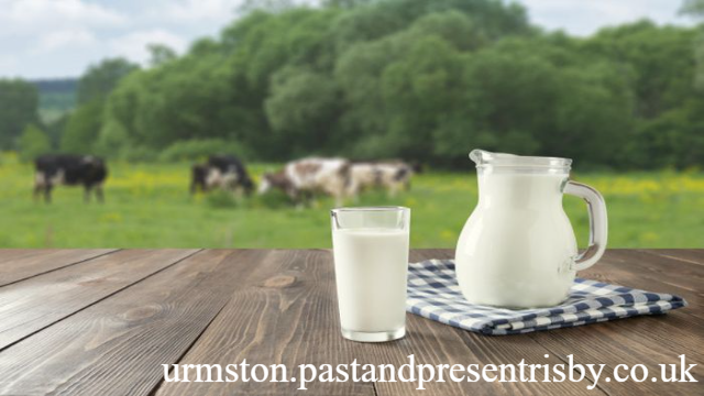 10 Manfaat Susu Sapi untuk Kesehatan Tubuh